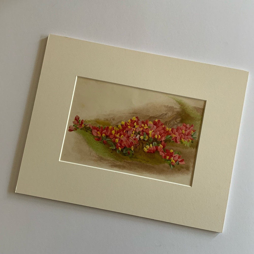 Pink&Yellow Vintage Artwork